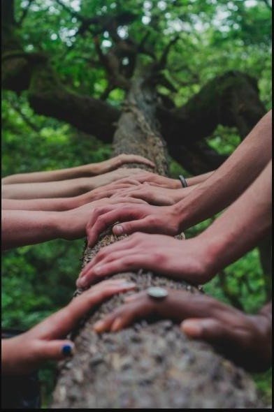 Team building at RGB Parkour Tour, hands joined together on a tree trunk.